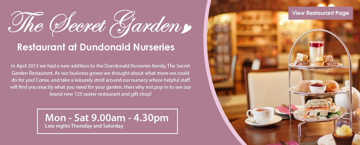 Garden Centres Belfast - Dundonald Nurseries